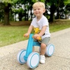 SEREED Baby Balance Bike for 1 Year Old Boys Girls 12-24 Month Toddler Balance Bike, 4 Wheels Toddler First Bike, First Birthday Gifts(Blue)